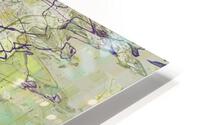 Five Views  HD Metal print