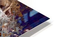 Expose    2 13 21 HD Metal print