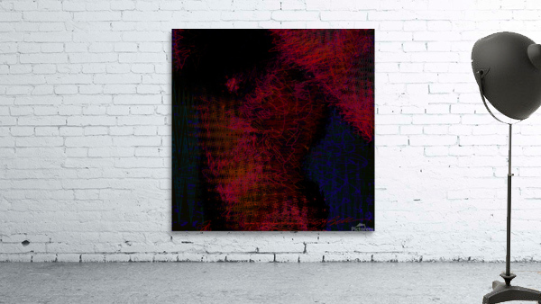 Black Swan  Wall Preview
