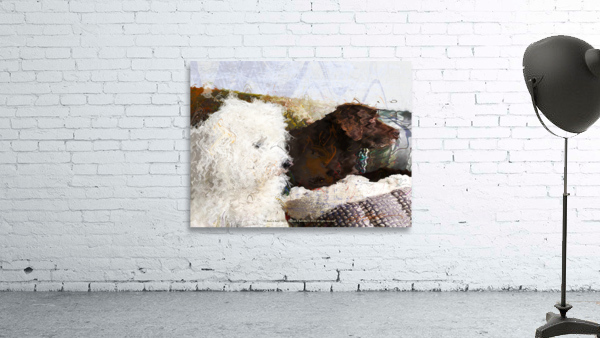 BORIS & BUOY  Wall Preview