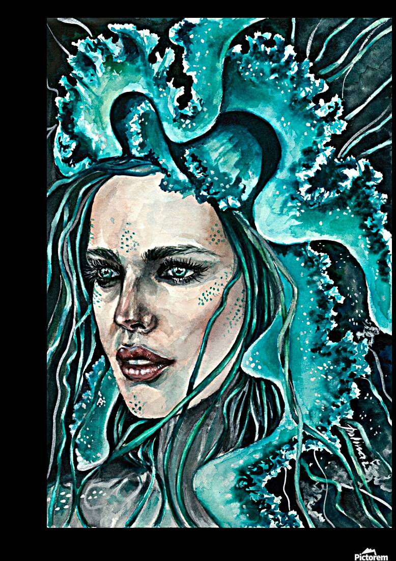 Medusa  Reproduction