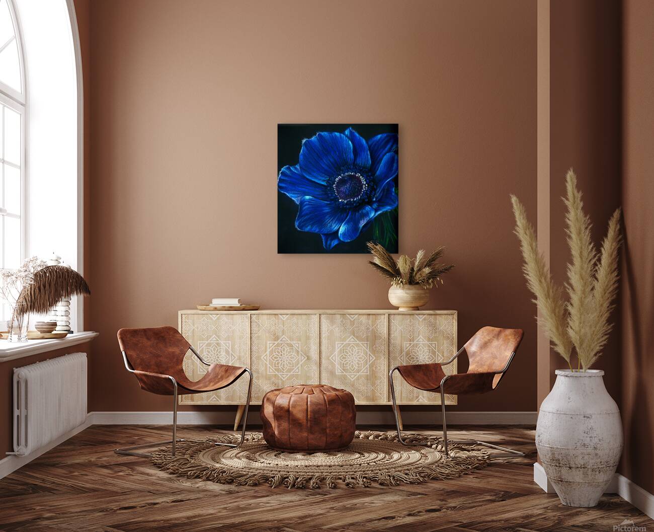 Blue Anemone Reproduction