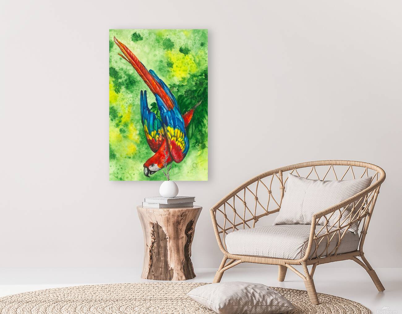 Scarlet Macaw Reproduction