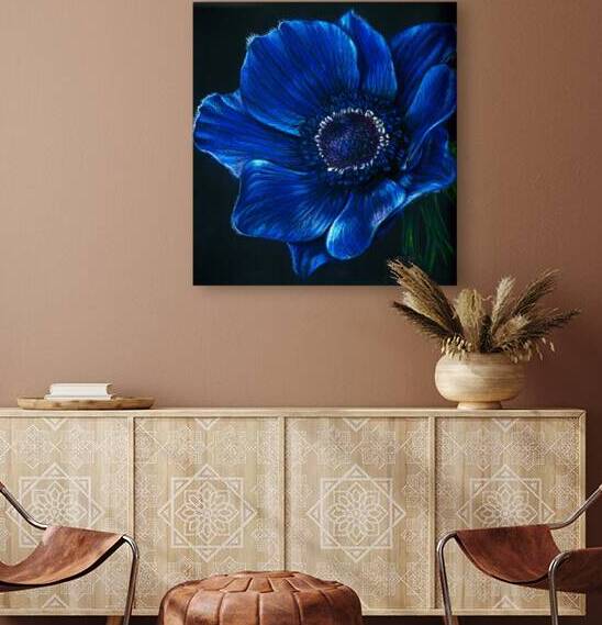Blue Anemone Reproduction