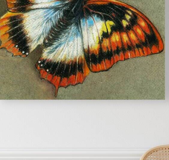 Pastel Butterfly Reproduction