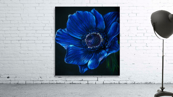 Blue Anemone Wall Preview