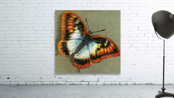 Pastel Butterfly Wall Preview