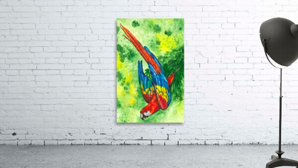 Scarlet Macaw Wall Preview