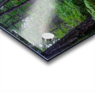 HDR211 Acrylic print