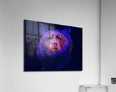 Bear - Digital painting Acrylic Print
