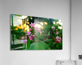 HDR154 Acrylic Print