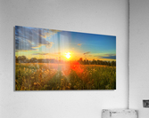 HDR127 Acrylic Print