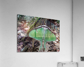 IMG 5789 Acrylic Print