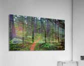 HDR211 Acrylic Print