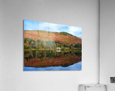 DSCN5704 Acrylic Print