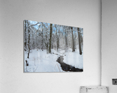 IMG 4633 Acrylic Print