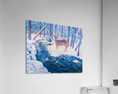 Snowy Brook Acrylic Print