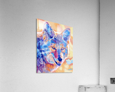Coyote Lovely Acrylic Print