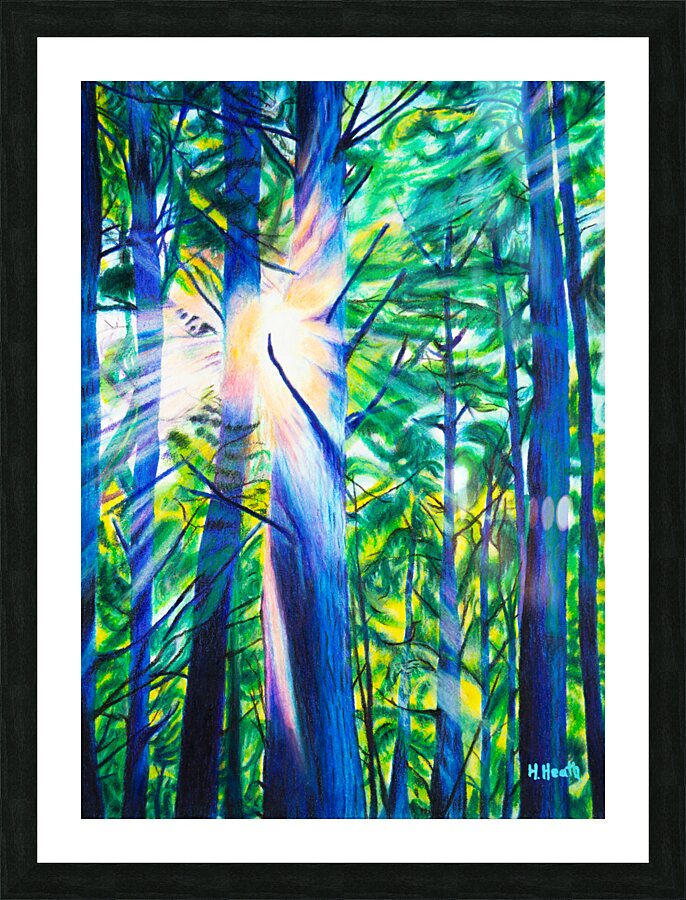 Sun Rays - Color Pencil Drawing Picture Frame print