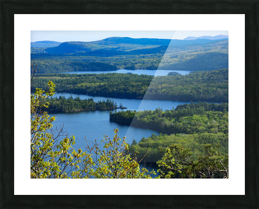 DSCN8536 Picture Frame print