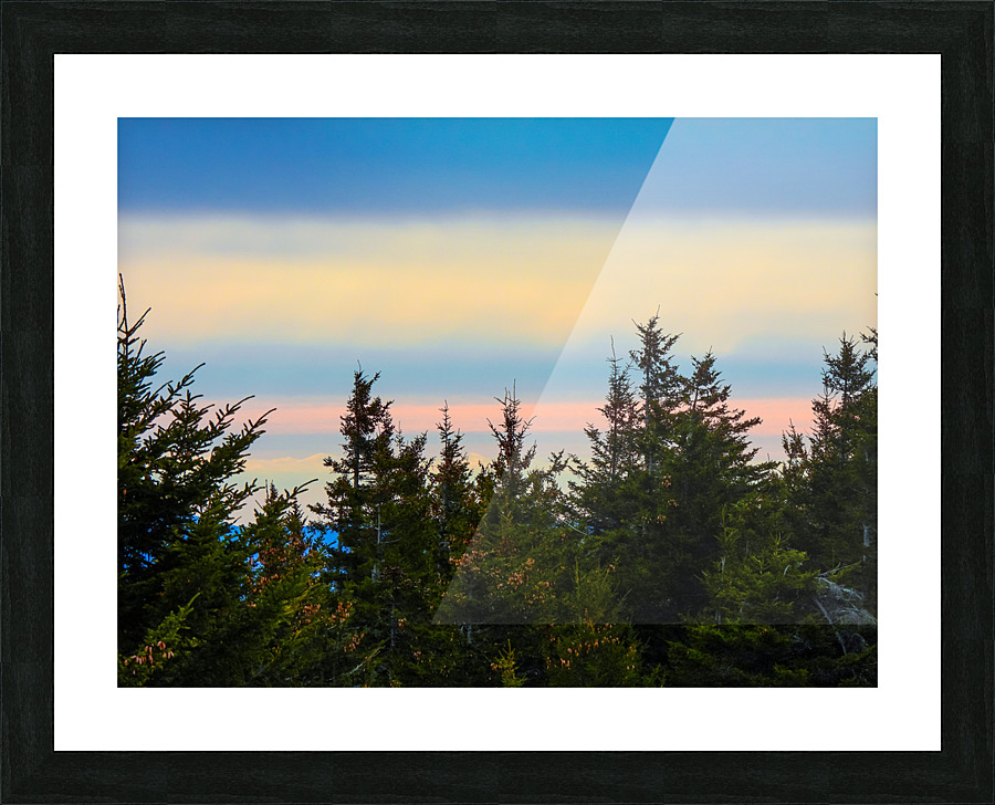 DSCN6329 Picture Frame print