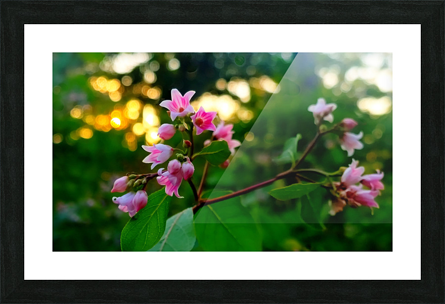 HDR154 Picture Frame print