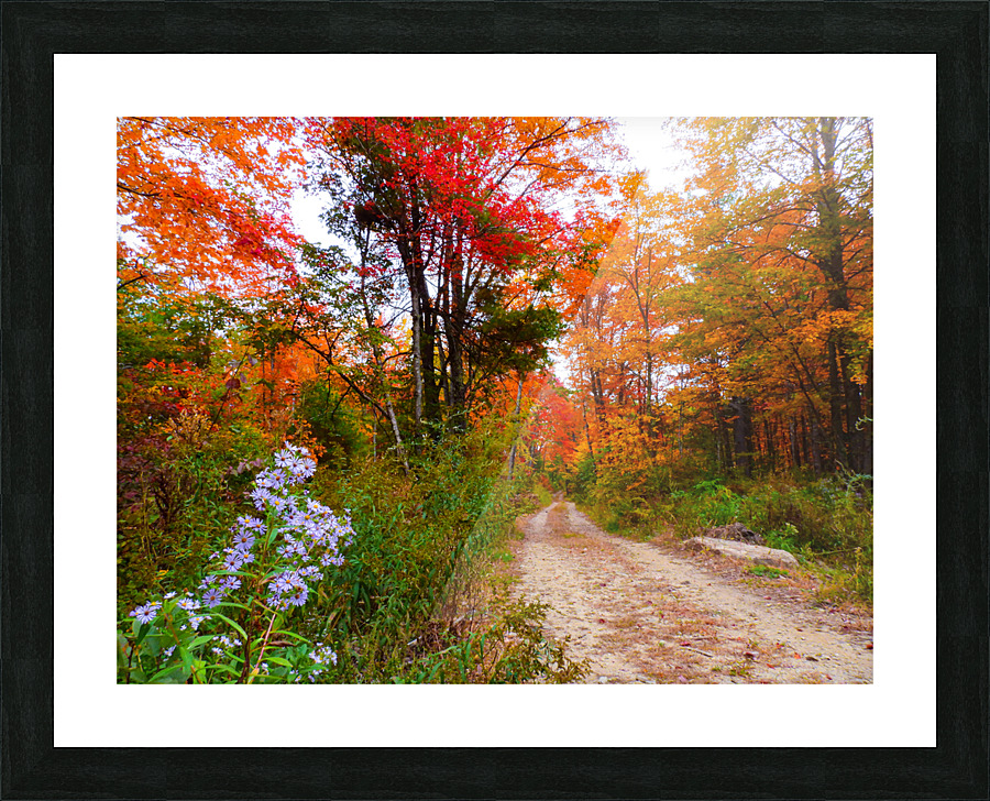 DSCN5091 Picture Frame print