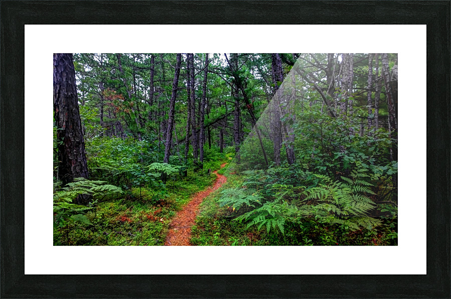 HDR211 Picture Frame print
