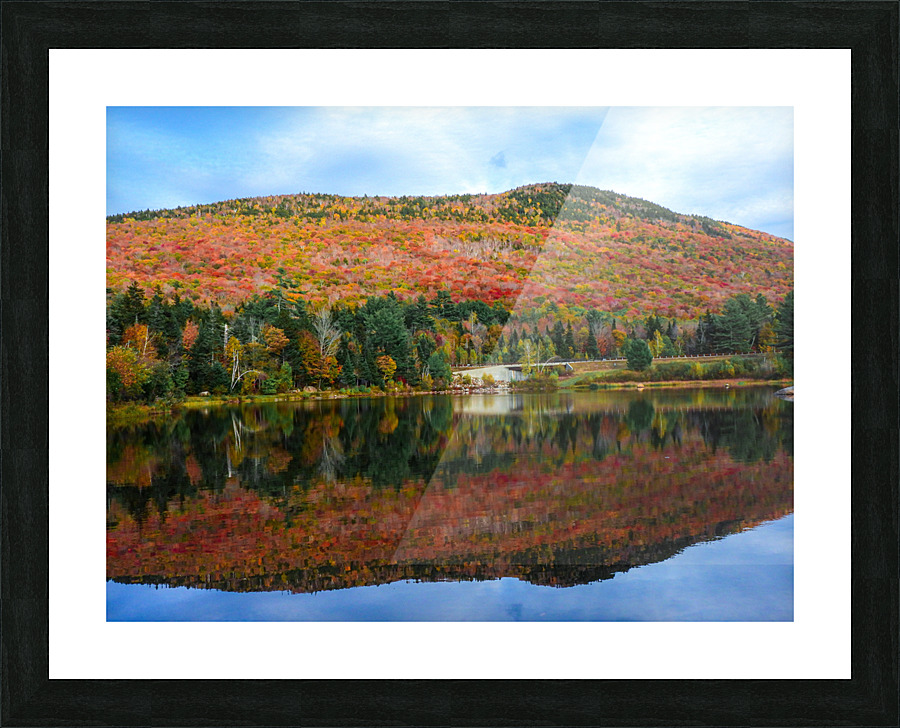 DSCN5704 Picture Frame print