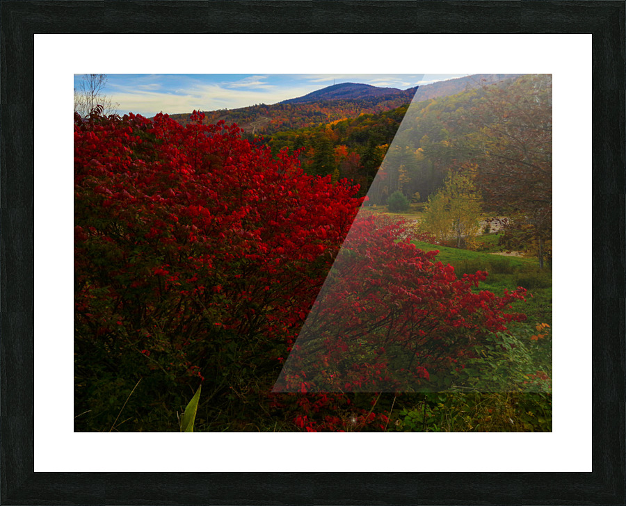 PSX 20171023 100240 Picture Frame print