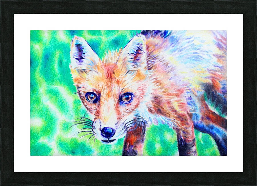 Fox Colored Pencil Drawing Picture Frame print