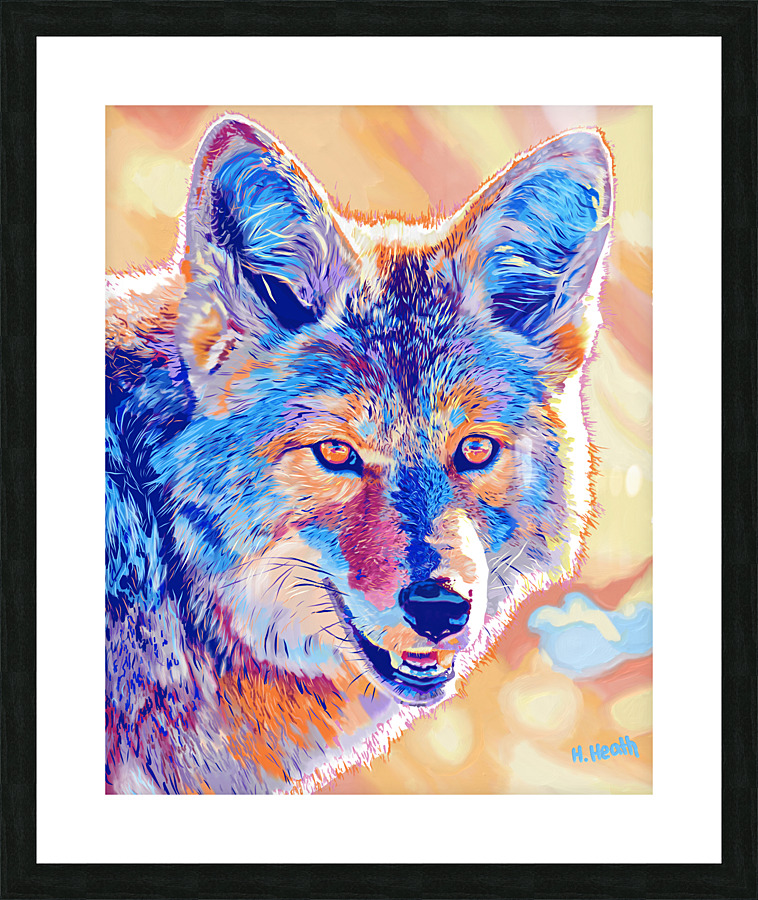 Coyote Lovely Picture Frame print