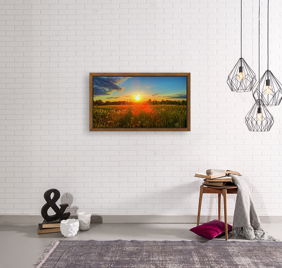 HDR127 Reproduction