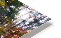 Misty River HD Metal print