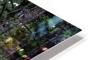 HDR211 HD Metal print
