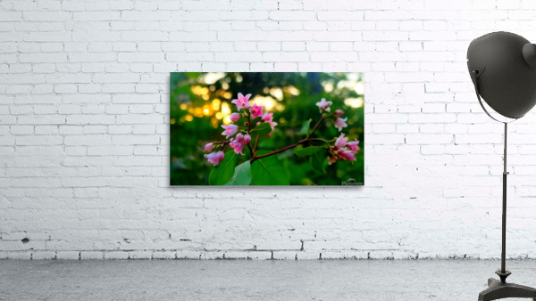 HDR154 Wall Preview