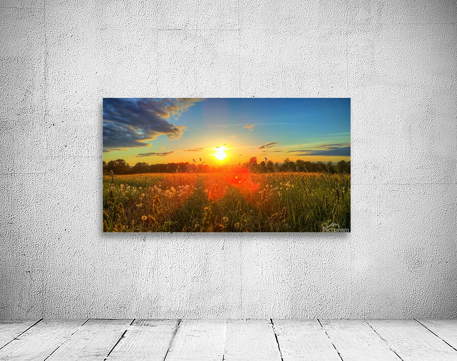 HDR127 Wall Preview