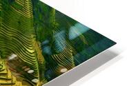 Rice Terraces 01 HD Metal print