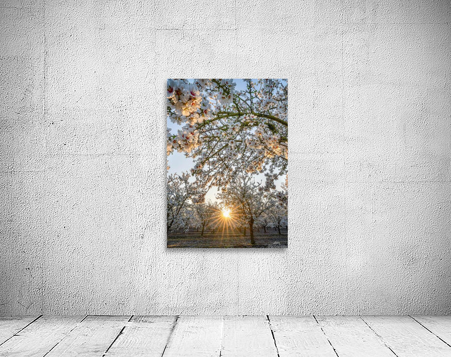 Spring Blossom 02 Wall Preview