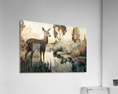 Spotlight Acrylic Print