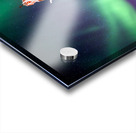 Northern Lights over Buknes Church Acrylic print