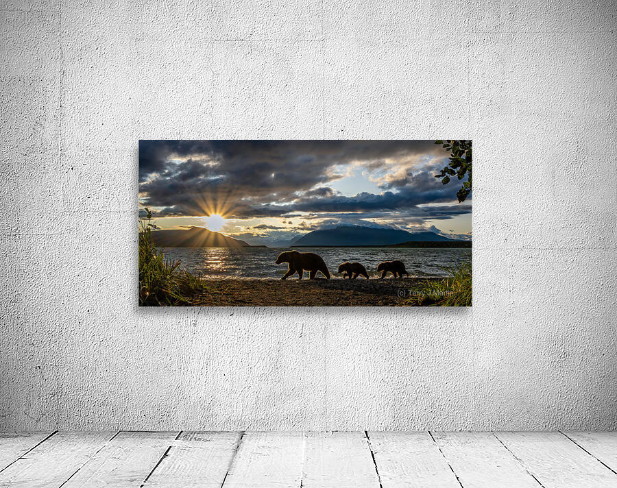 Kachemak Sunrise Wall Preview