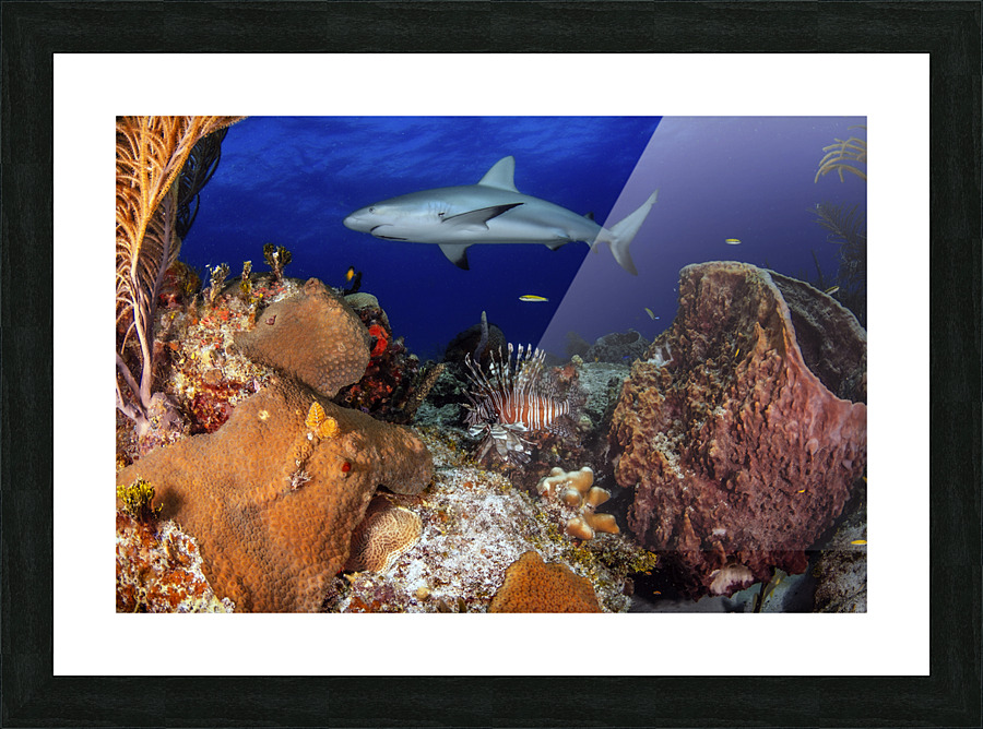 Under Cover Picture Frame print
