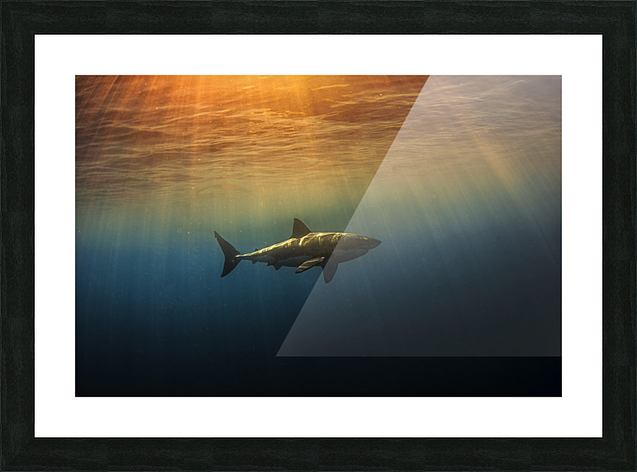 Golden Hour Picture Frame print