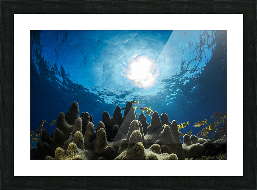 Hurry Sundown Picture Frame print