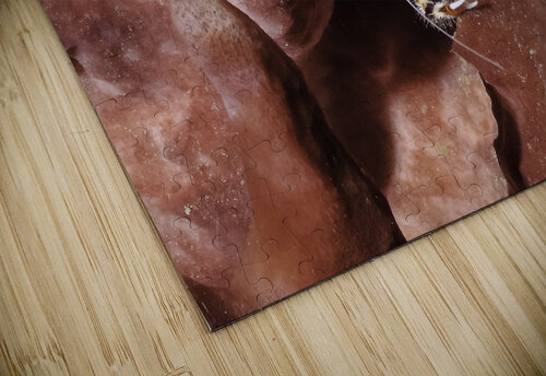CreepN steven anderson puzzle
