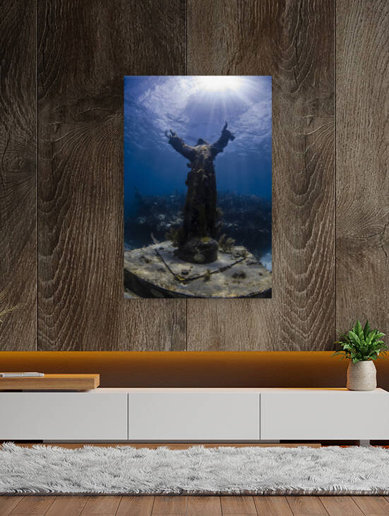 Open Arms by steven anderson