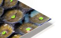 Candy HD Metal print