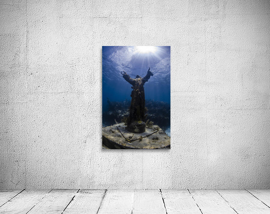 Open Arms Wall Preview