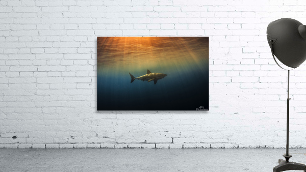Golden Hour Wall Preview